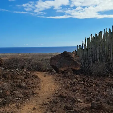 Casa Netty פאלם-מאר